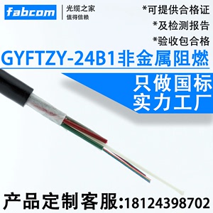 GYFTZY-24B1非金属阻燃光缆12芯光纤线4芯6芯8芯低烟无卤料通信线36芯48芯国标架空穿管电力单模室外光缆