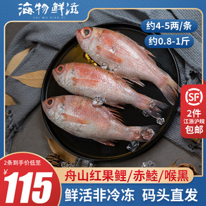 舟山红果鲤鲜活赤鯥鱼喉黑鱼新鲜非冷冻海鲜水产日料刺身级2条