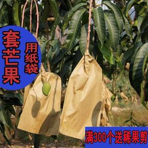·双层枇杷芒果套袋专用袋包脐橙育果袋防雨水纸袋防鸟金煌芒袋子