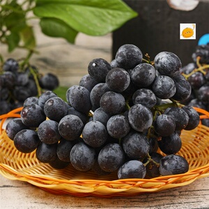 乐鲜果园智利玫瑰香无籽黑提2斤超甜进口提子葡萄当季时令水果