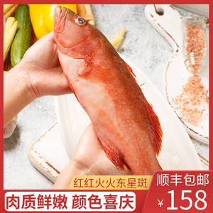 【东山岛斑鱼】东山岛斑鱼品牌,价格 - 阿里巴巴