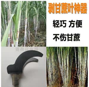 砍甘蔗工具