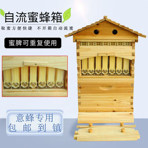 自动流蜜蜂箱展示箱意蜂专用全套煮蜡斜顶箱蜜蜂巢脾养蜂取蜜工具