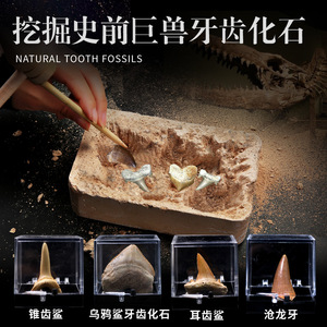儿童考古挖掘玩具牙齿化石沧龙牙鲨鱼牙古生物标本盲盒男女孩礼物