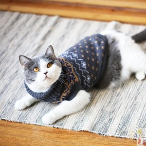 领无保暖毛衣秋冬装英短猫幼猫毛猫冬季衣服暹罗猫高宠物猫咪衣服