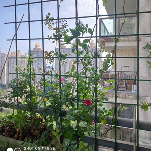 网格爬藤架植物攀爬架子月季花架爬藤架花墙架固定支撑杆户外庭院