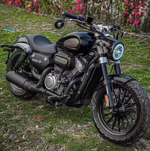 进口哈雷硬汉883太子公路赛夜路德复古金吉拉300重机巡航摩托车