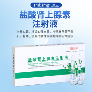 肾上腺素注射液