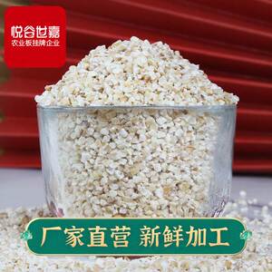 【苏北盐城特产】大麦采子大麦糁子彩子米仁粯子面粗粮碴子粥材料
