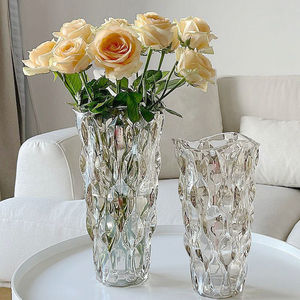 捷克进口加厚水晶玻璃花瓶摆件高档客厅餐桌装饰玻璃水养插花鲜花