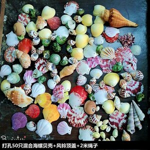 小贝壳田螺贝壳空瓶鱼缸海星小海螺彩色海螺手工无孔装饰寄居蟹