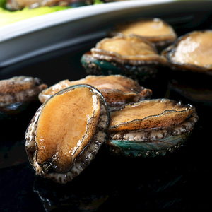 小鲍鱼仔新鲜冷冻不带壳150g酒店饭店餐饮商用半成品海鲜特色菜