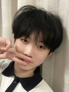 假发男短发全头套韩系碎盖头网红同款帅气短直发仿真男式整顶发套