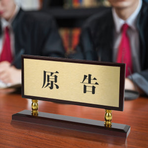 法庭法院桌牌原告被告审判长书记员证人人民陪审员诉讼代理人法警法庭