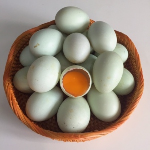 防城港新鲜海鸭蛋