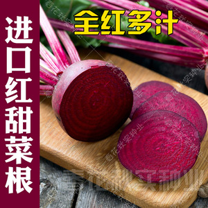 荷兰进口红甜菜根种子 春季秋季蔬菜种子阳台大田 菾菜紫红色高产