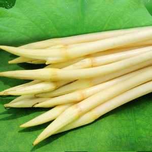 湖北特产洪湖藕尖