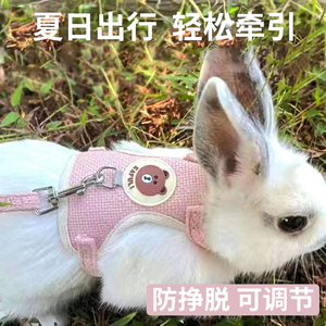 兔子牵引绳防挣脱溜兔绳子外出牵侏儒兔遛兔子神器可调节外出用品