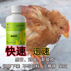 家禽鸡药正品鸡用