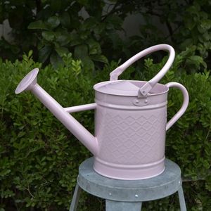 w12105欧美日韩铁制园艺多肉植物活动喷头大浇水洒水壶多色高品质