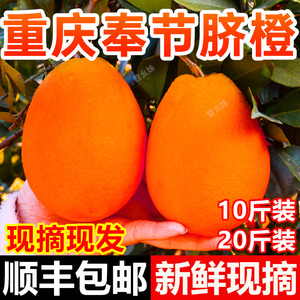 顺丰重庆奉节脐橙72-1新鲜水果当季橙子现摘10斤20大纽荷福本伦晚