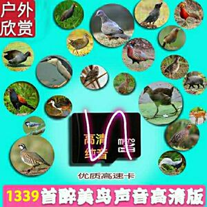 300人付款淘宝野马声音卡竹鸡鸟叫声音蝼蛄高清户外专用实战卡扩音器