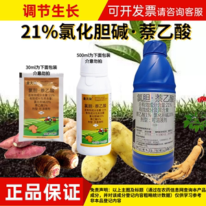 21%氯化胆碱萘乙酸膨大素土豆药材大姜红薯地下根茎块增产膨大剂