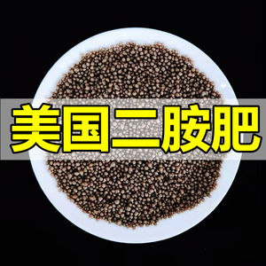 美国二铵美国优质二胺肥料氮磷钾复合肥种菜专用肥花肥盆栽肥