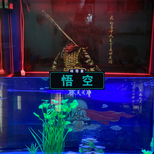 鱼缸背景贴纸3d立体高清图鱼缸壁纸背景壁画水族箱动漫孙悟空猴子