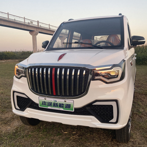 本途电动四轮车成人家用新能源代步五门四座小型油电两用接送孩子