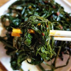 东北野生山菜柳蒿芽新鲜头茬咸菜腌制咸菜头绿色泡菜下饭菜菜包邮