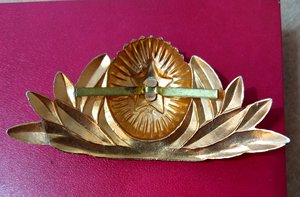 爱凡堂前苏军礼服大帽徽