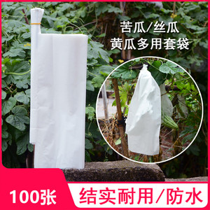 塑料纸袋套苦瓜丝瓜黄瓜套袋青瓜水果瓜果套果袋专用防虫袋防水袋