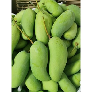 海南小象牙芒果