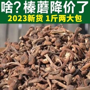 东北特产榛蘑丁干货500g小鸡炖蘑菇长白山臻蘑非特级无根新货