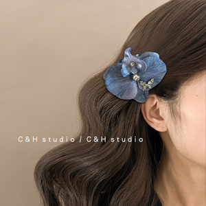 蓝色重工复古蝴蝶兰珍珠发夹夸张小众设计刘海边夹发卡发饰头饰女