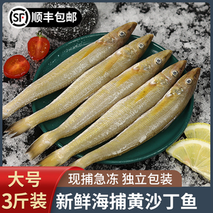 沙丁鱼新鲜鲜活冷冻大沙尖鱼 青岛冷冻海鲜水产深海鱼烧烤食材3斤