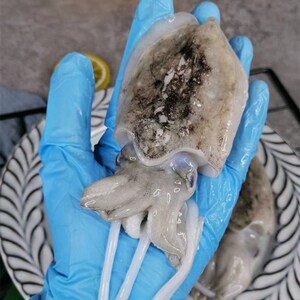 6斤墨鱼海鲜冻品水产小包装墨鱼乌贼章鱼鲜冻盒装新鲜水产冷冻