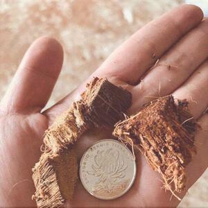 专用料椰粗椰斤营养铁皮植料散装口椰壳砖兰花石斛8椰块椰壳土