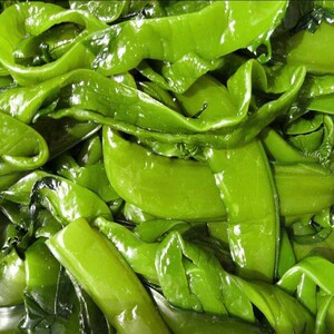 新鲜盐渍裙带梗梗