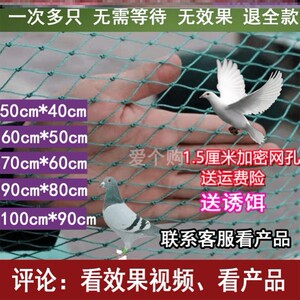 粘网捕鸽家用鸽笼子大号四面竹鸡进口神器鸡笼信鸽只进鸽子笼笼养