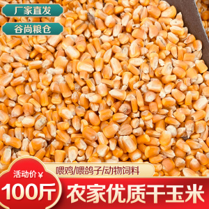 东北大玉米粒100斤干玉米粒喂鸽子做饲料钓鱼打窝鸡鸭鹅粮食苞米