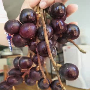 云南德宏野生新鲜胭脂鬼眼睛水果蔬红酒色酸甜土特产独有山珍1斤