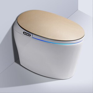 inax日本伊奈一体式智能马桶即热全自动家用遥控冲洗烘干无水箱坐