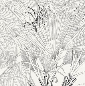 {消毒出库}--阿萍推荐版纳春深 郭子良西双版纳植物写生线描精选 白描