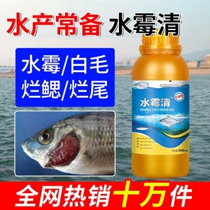 水霉净水霉病专用水霉清鱼用白毛病长白毛水产鱼药水杨酸水产养殖