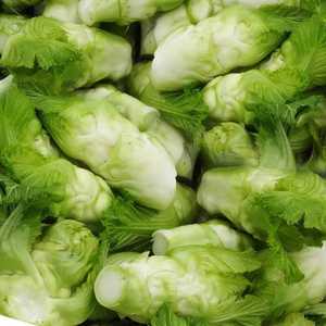 四川新鲜应季蔬菜泡菜榨菜原料儿菜背抱儿菜母子菜娃娃菜芥菜儿菜