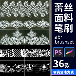 procreate蕾丝面料笔刷ps薄纱婚纱设计镂空花纹布料ipad手绘素材