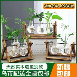 新疆包邮创意木架桌面水培玻璃花瓶养绿萝植物花盆容器摆件办公室