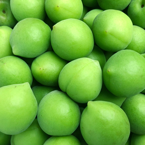 顺丰福建诏安青梅鲜果5斤装水果大果新鲜当季梅子现摘泡酒青梅果
